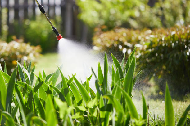 24/7 Emergency Mosquito Control experts in La Grange, TX